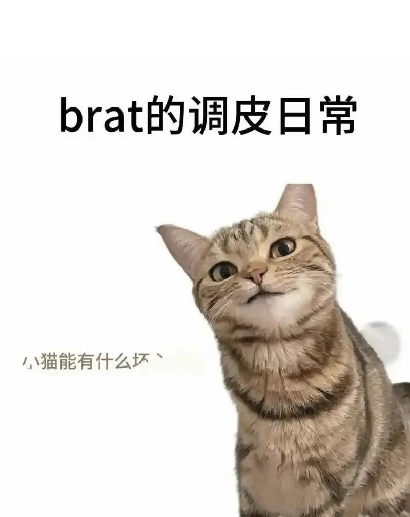 【西檬之家】Spank是什么？字母圈新人Sp实践权威指南