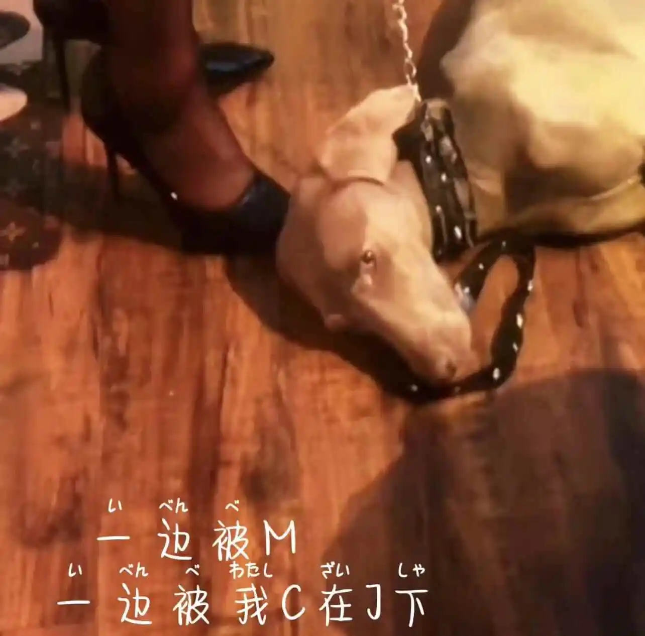 西檬之家-恋足癖是什么？在BDSM关系中的表现