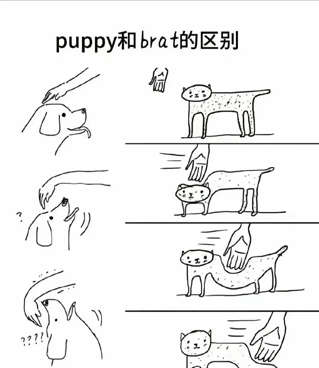 西檬之家-字母圈新人如何入圈：M角色与BDSM基础指南