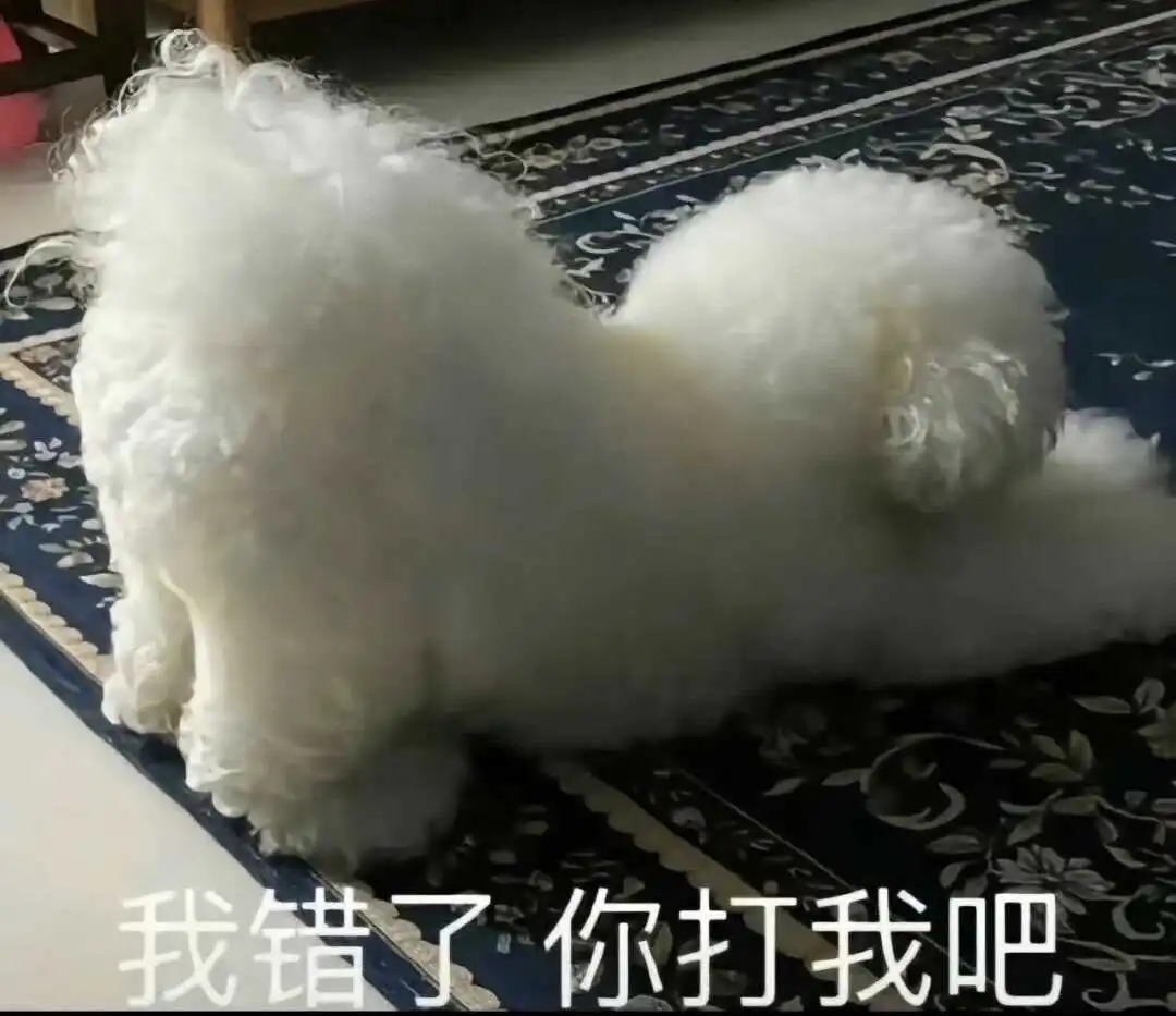 【西檬之家】-字母圈S倾向指南