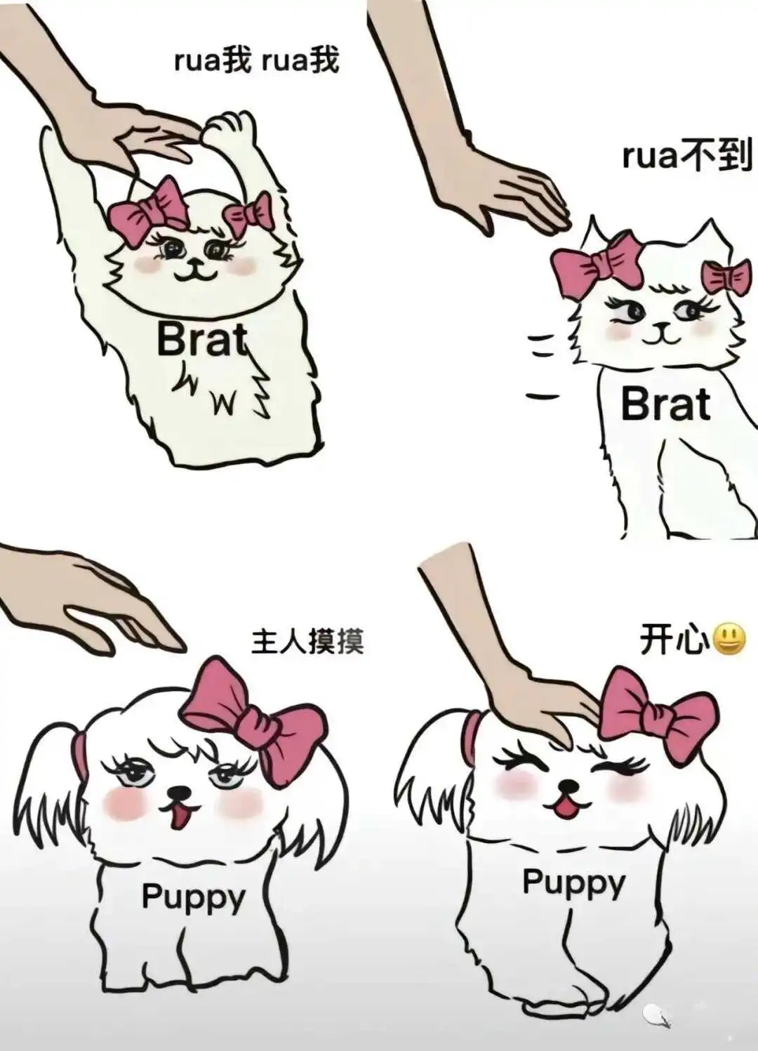 西檬之家-字母圈新人如何入圈？从基础术语到实践指南