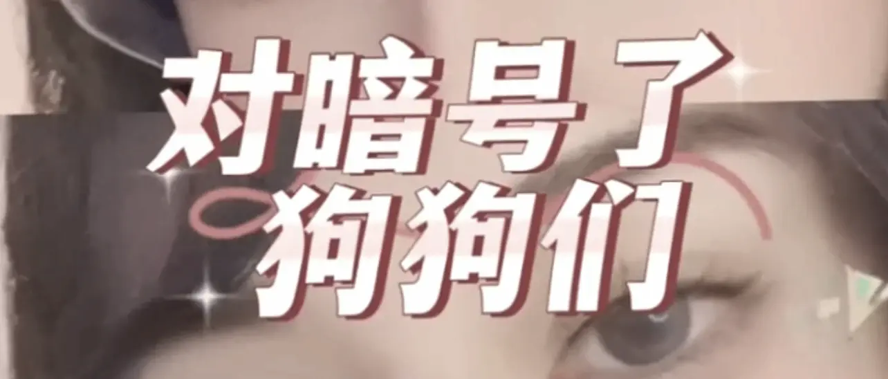 西檬之家-BDSM新人入圈指南