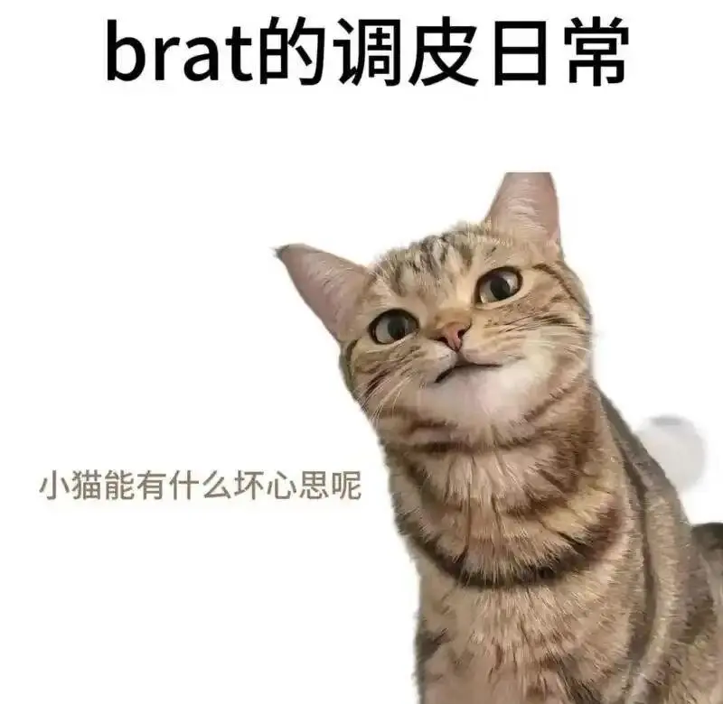 西檬之家-DS关系是什么？在字母圈中建立健康权力动态的权威指南