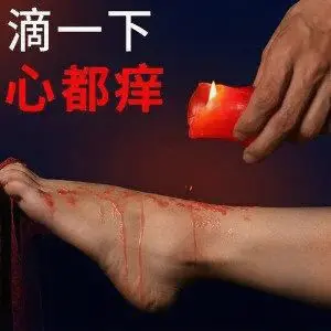西檬之家-字母圈新人k9是什么？认识BDSM术语与人设
