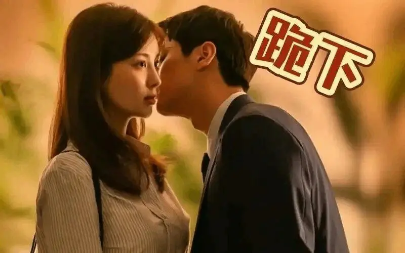 k9犬系 - 2025-11-13 192150