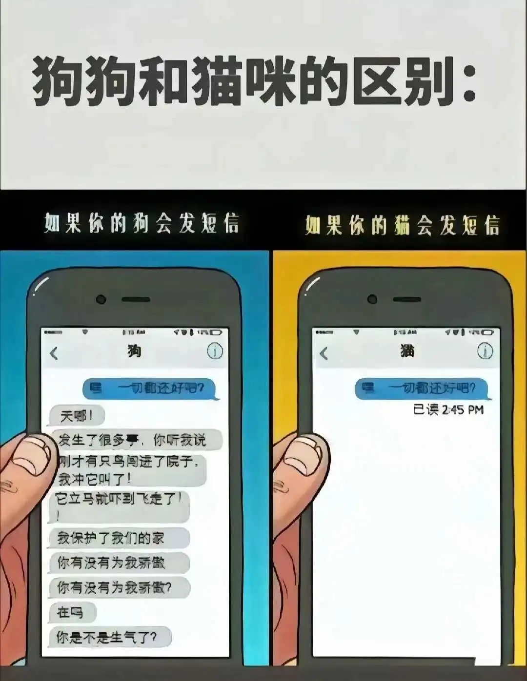 西檬之家-字母圈新人入圈全指南